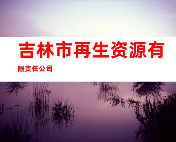 吉林市再生资源有限责任公司