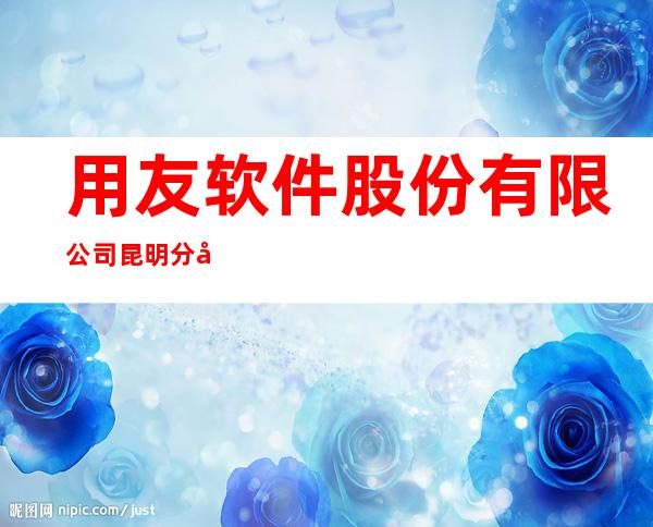 用友软件股份有限公司昆明分公司